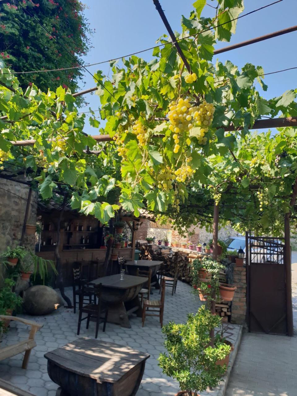 Guest House Kusika 시그나기 외부 사진